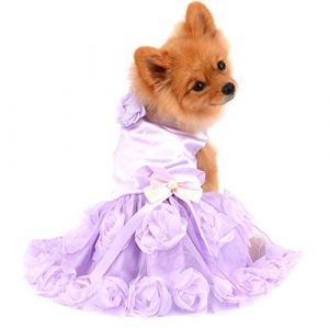 PAIDEFUL Robe pour Petit Chien V&ecirc;tements pour Chats Filles d'&eacute;t&eacute; Luxe Robe de Mari&eacute;e Jupe Tutu en Dentelle &agrave; Fleurs Violets Soyeux Bowknot Robe de f&ecirc;te d'anniversaire Chiot Chihuahua Jupe Violet XL (paideeu, neuf)