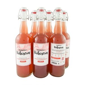 BOISSON ÉCOLOGIQUE KOMBUTXA TE KOMBUCHA - 6 bouteilles 750 ml Thé fermenté bio énergie écologique combustion des graisses sans sucre ajouté (Hibiscus (Hibiscus et Grenade)) (Mun Kombucha, neuf)