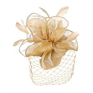 Chapeau fascinateur r&eacute;tro avec rubans de fleurs, voile en maille, pince &agrave; cheveux, bandeau de f&ecirc;te th&eacute;, accessoires pour femmes (BBhalcyonheiyo, neuf)
