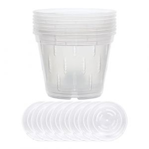 Rurunklee 8 Pi&egrave;ces 17cm Pot de Fleurs Plastique Transparent Pot &agrave; Orchid&eacute;e en Plastique Transparent Pot &agrave; Orchid&eacute;e en Plastique Transparent avec Trous de Drainage (zhrnfm, neuf)