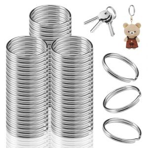 200 Pi&egrave;ces Anneaux Porte Cl&eacute; 25mm, Anneau Porte Clef en Acier Inoxydable, Porte-cl&eacute;s Anneaux Fendus en M&eacute;tal Antirouille, Porte-Cl&eacute;s Rond pour Voiture, Cl&eacute;s, Artisanat, Maison, D&eacute;corations DIY (YYBYEU, neuf)