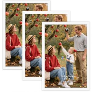 Vasemouh 3 Cadres Photos 20x30 pour Les Photos, Les Dipl&ocirc;mes, Les Images, Cadre 20x30 Blanc (SlientHill, neuf)