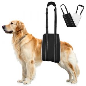 AOOHA Harnais pour Chien Handicap&eacute;, Harnais r&eacute;glable pour Chien, Aide &agrave; la Marche, Cuir PU Imperm&eacute;able et Anti-Salissure et Mat&eacute;riau Doux et Moelleux, Convient aux Chiens &acirc;g&eacute;s et handicap&eacute;s (Yoo-uTu, neuf)