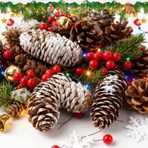 Axlyca 76PCS Mini Pommes de Pin de No&euml;l Set,Mini Naturelles Pomme Pin C&ocirc;nes avec Baies de Houx,Pomme de Pins Decorative No&euml;l pour D&eacute;corations de No&euml;ls,Couronnes L'Avent,D&eacute;cora Table,Loisirs Cr&eacute;atifs (DIMITRIS-LOUKA, neuf)