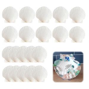 WJWINER Lot de 20 Coquilles Saint Jacques, Coquillage D&eacute;coration, Blanc D&eacute;corations de Coquille, Coquilles Saint-Jacques Naturelles, pour Mariage de Plage et Oc&eacute;an Crafts la D&eacute;coratio(6-8cm) (CJWZDQ, neuf)
