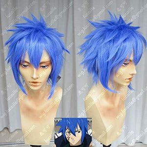 Anime Fairy Tail Jellal Fernandes Cosplay perruque bleu résistant à la chaleur perruque de cheveux synthétiques + bonnet de perruque (good stuff A, neuf)