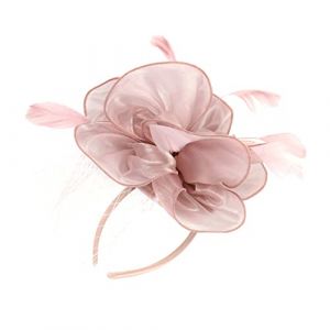Veemoon Chapeau Barrette Plume Chapeaux De Thé Pour Femmes Bandeau Casquette Queue De Cheval Fantaisie Voile De Fête Casque Fleur Casquette Active - Paille Bord Soleil De Mariée Soie (Quiet Window, neuf)