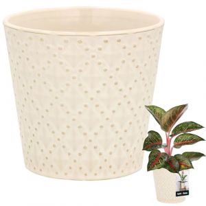 KOTARBAU® Pot De Fleurs Trapézoïdal Vintage Crème De ⌀ 12 Cm |Pot en Céramique Crème |Cache-Fleur en Céramique Émaillée |Pot De Fleurs en Céramique Émaillée Crème |Pot De Fleurs Crème |Pot Vintage (KOTARBAU, neuf)