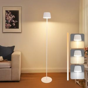 Homefire Lampadaire solaire d'extérieur de 120 cm : Lampadaire LED pour salon à intensité variable 3000 K-6500 K avec batterie USB-C rechargeable Blanc Lampadaire sans fil réglable en hauteur étanche (Tangdas, neuf)