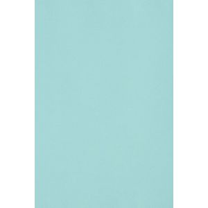 Netuno 10x carton bleu clair 250g papier d&eacute;coratif SRA3 320x450mm Burano Azzurro id&eacute;al pour cartes de voeux scrapbooking bricolage invitations art et artisanat anniversaire DIY loisirs cr&eacute;atifs (netuno, neuf)