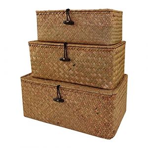 Seagrass Panier de rangement en osier avec couvercle paniers de rangement, panier en rotin tressé fabriqué à Manograss Panier en osier avec couvercle paniers de rangement (S+M+L) (TUEU Store, neuf)