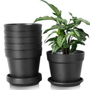 Lot de 6 pots de fleurs en plastique avec soucoupes, pots à herbes aromatiques avec plusieurs trous de drainage, pots ronds pour l'intérieur et sur le balcon, cactus juteux (noir, 16 cm) (DIMA BYTECORE, neuf)