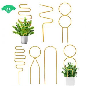 5 Pièces Support Plante Grimpante Tuteur Plante Grimpante Intérieur Grimpantes d'Intérieur Support Métallique pour Plantes Grimpantes Convient Aux Plantes en Pot Et Aux Vignes et Fleurs (CXGYL, neuf)