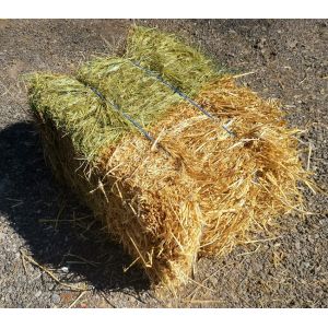 Bi Ballot Paille et Foin Qualité Extra 10 à 12 Kg Exclusif (Le Petit Ballot, neuf)