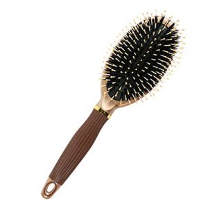 CANIGHT Brosse à Cheveux en Poils de Sanglier Ovale Antistatique Peigne Démêlant Manche en Plastique pour Cheveux Crépus Massage Cuir 1 Pièce (ZORIYOI, neuf)