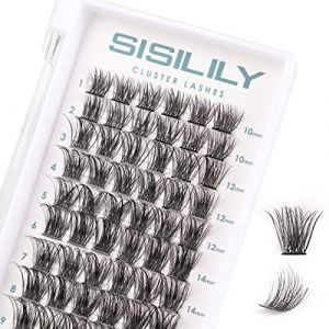 SISILILY Extension Cils - 72 Pcs Faux Cils Individuel 3D Naturel Cluster Lashes Volume Russe DIY Extensions de Cils R&eacute;utilisables 0.07mm C Curl 10-16mm Imperm&eacute;able Bouquet Faux Cils (DM17-Mix) (SISILILY, neuf)
