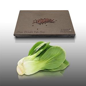 100 graines à semer - Le Grenier d'Abondance - CHOU CHINOIS Pack Choi - Brassica rapa (LE GRENIER D'ABONDANCE, neuf)