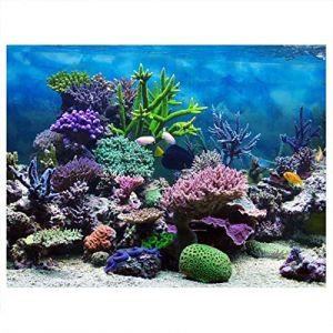 Joyzan Affiche Aquarium, Fond de R&eacute;servoir de Poissons d'aquarium Adh&eacute;sif de PVC, Underwater Coral Toile D&eacute;coration 3D Papier Coller Stickers, Autocollant Marin Plantes d'aquarium(122 * 61cm) (Enraek, neuf)