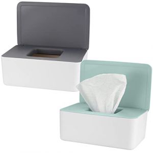 2 Pièces Boîte de Mouchoirs Humides, Boite Lingette avec Couvercle, Distributeur Support de Rangement de Lingettes Humides pour Maison Bureau (MaiMaiDuo, neuf)