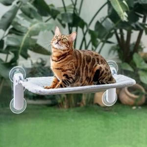GUUSII HOME Hamac Chat Fenetre Pliable Panier Transat Suspendu Grande Chats Ventouse Support Perchoir Coussin Interieur Etagere Chaise Lit pour Maine Coon Facile À Monter 54 * 30cm (Gris Clair, M) (GUUSII HOME, neuf)