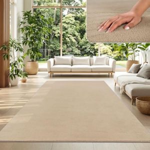 TT Home Tapis Poil Ras Tapis De Salon Monochrome Design Moderne Lavable, Couleur: Beige Fonc&eacute;, Dimension:160x220 cm (marche-de-tapis, neuf)