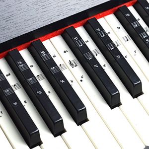 Stickers pour 49/61/76/88 touches, piano et clavier Notes de musique Ensemble de stickers pour les touches de Blanc et Noir, Transparent et amovible, idéal pour enfants et débutants (Imelod Musical, neuf)