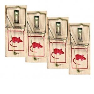 8 TAPETTES A SOURIS MULOTS EN BOIS ET FER PIEGE SOURIS RAS RONGEUR (✅Abrakado✅, neuf)