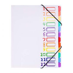 Trieur 12 compartiments Chemise Plastique a4 avec Rabat et Fermeture à Elastiques Extensible Pochettes pour Documents Multicolore Organisateur De Documents Dossiers Chemise Trieur Bureau (haozaikeji, neuf)