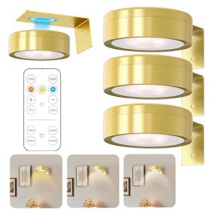 3PCS Lampe Tableau LED &agrave; Piles, &Eacute;clairage Mural Sans Fil avec T&eacute;l&eacute;commande, Lumi&egrave;re de Peinture Murale Magn&eacute;tique avec 3 Couleurs D'&eacute;clairage pour Mur, &Eacute;tag&egrave;re, Vitrines, Cadres [Classe &Eacute;nerg&eacute;tique A] (WUHAN RENHOTEC TECHNOLOGY LTD, neuf)