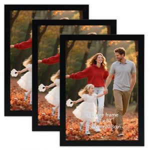 Vasemouh 3 Cadres Photos 15x20 pour Les Photos, Les Dipl&ocirc;mes, Les Images, Cadre 15x20 Noir (SlientHill, neuf)