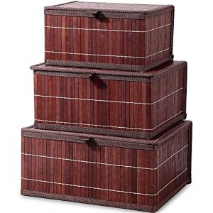 Honygebia Lot de 3 boîtes de rangement décoratives en bambou avec couvercles - Paniers de rangement en osier marron rétro avec couvercle pour la maison, la cuisine, l'organisation d'étagères (Honygebia, neuf)