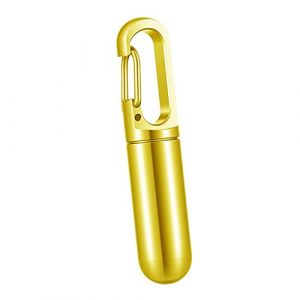 perfk Petit porte-cl&eacute;s portable pour pilulier, porte- &eacute;tanche, &eacute;tui en m&eacute;tal pour contenant de s de portable avec porte-cl&eacute;s pour le, Aur&eacute;at (perfk, neuf)
