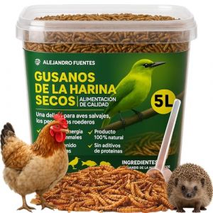 AF® - Vers de farine 715 g, ténébriums pour poules, vers de farine déshydratés 5 l, vers pour oiseaux 100 % naturels, insectes pour oiseaux, nourriture pour martinets (Tienda de AF, neuf)