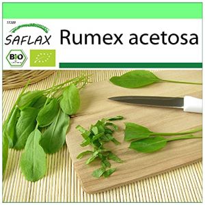 SAFLAX - BIO - Oseille commune - 400 graines - Rumex acetosa (SAFLAX, neuf)