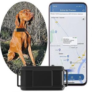 4G Collier GPS pour Chien avec Alarme Sonore et Lumineuse Statistiques Podomètre et Conversation Bidirectionnelle Étanche Anti-Perte Traceur GPS Chien sans Abonnement pour Chiens de Chasse -TK919PRO (Meiruijia Electronics, neuf)