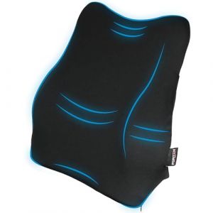 FORTEM Coussin Lombaire de Voiture, Soutien Dorsal pour siège de Voiture, Oreiller en Mousse à mémoire de Forme, Housse Respirante et Lavable (FORTEM Store, neuf)