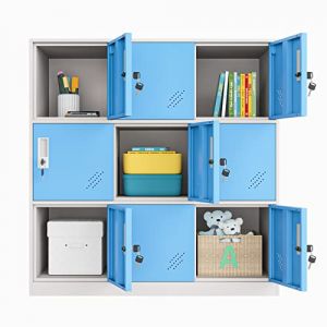 MECOLOR 4.6.9 Portes Armoire de Bureau en métal employés utilisant de Petits casiers Chambre Cube casier, Salon et casier Scolaire, casier à la Maison Armoire de Rangement pour Enfants (Blue,9D) (MECOLOR, neuf)
