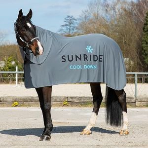 SUNRIDE Couverture rafraîchissante pour chevaux (Cool Down) (ensemble 3 pièces) – avec couvre-cou et tissu – effet rafraîchissant immédiat par refroidissement par évaporation – durable – gris (105 cm) (SR SUNRIDE, neuf)