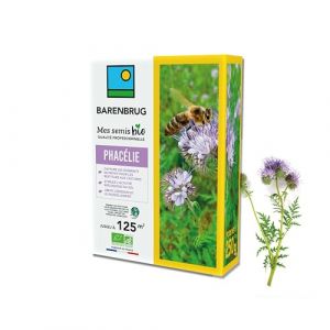 BARENBRUG - Phacélie BIO - Capture les Éléments Nutritifs et Restitue aux Futures Cultures - Stimule Activité Biologique du Sol - Limite Érosion et Ruissellement - Fabriqué en France - 250G (Barenbrug, neuf)