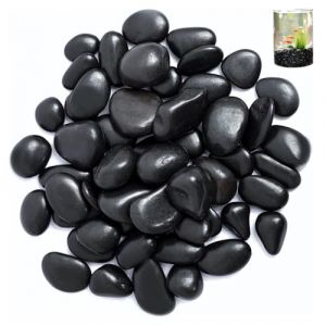 Galets, 2-4 cm Galets Noir de Jardin, 1kg Pierres Décoratives, Pierres de Rivière Plantes, Galets Décoratifs, pour L'aménagement Paysager, la Décoration de la Maison, Les Projets Artistiques (ARCPNRT Eur, neuf)
