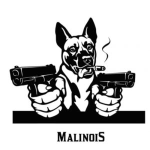 Autocollant pour voiture 22 cm Noir Belgique Malinois Autocollant noir Belgian Malinois Car Sticker Animal de compagnie Chien Autocollant imperm&eacute;able dr&ocirc;le autocollant pare-chocs vitre arri&egrave;re (TIZIKJ-FR Store, neuf)