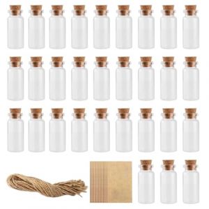 GESDYO 30 Mini flacons en verre 10ml wish Bottle petit tube à essai avec bouchon en liège et info Bottle avec 30 ficelles 30 cartes d'étiquettes pour fête de mariage, décoration, souhaits (GESDY Obilan, neuf)