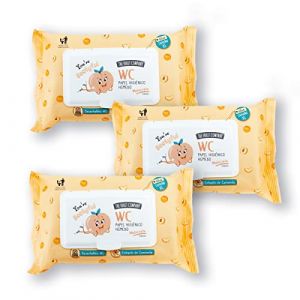 Lot de 3 paquets de 60 feuilles de papier toilette humide - Pêche - Taille XL - Jetables et biodégradables The Fruit Company (Dream Home  by Cathy, neuf)