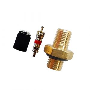 Valve à vis, M8 x 1 pneu en laiton Valve de compresseur d'air pour réservoir d'air, buse hexagonale, valve de pneu avec bague d'étanchéité, valve à visser pour réservoir à pression de liquide, pompe à (CHENQINGKE, neuf)