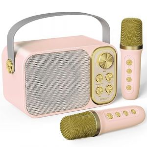 Machine de Karaok&eacute; avec 2 Micro sans Fil, Haut-Parleur Bluetooth Portable, Dispose 7 Effets Sonores, pour F&ecirc;te et Voyage (ChengHongLtd, neuf)