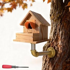 Nichoir &agrave; Oiseaux en Bois - Bo&icirc;te &agrave; M&eacute;sanges et Rouge-Gorge, Mangeoire Suspendue R&eacute;sistante aux Intemp&eacute;ries pour Petits Oiseaux, avec Protection (Support + Nid, 12x17x17cm) (PaiAo-Shop-UK, neuf)