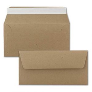 NEUSER PAPIER - Lot de 100 enveloppes en papier kraft - Format DIN long - Marron, &eacute;cologique - Fermeture adh&eacute;sive - 11 x 22 cm - 120 g/m&sup2; - Sans fen&ecirc;tre - En papier recycl&eacute; (GUSTAV NEUSER GmbH, neuf)