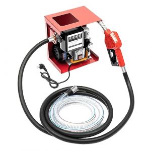 Begoniape Pompe &agrave; diesel auto-amor&ccedil;ante 550 W - Pompe &agrave; fioul diesel 220 V - Pompe &agrave; huile &eacute;lectrique avec pistolet automatique - Moteur en laiton - D&eacute;bit de 60 l/min (GDAECC, neuf)