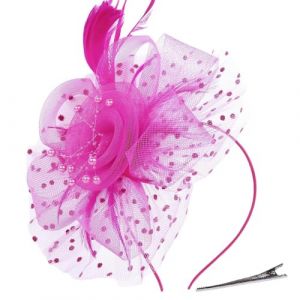 AOWVUTS Fascinator Chapeau Plume Mariage Dames Day Bandeau et Clip Fascinator Chapeau Fleur Maille Plume Dentelle avec Barrett Chapeaus Fascinateur Voile Cocktail Tea Party Chapeaus pour Femme (H, Un) (Foshan City Dange Auto Co., neuf)