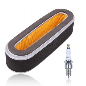 AUMEL Kit de Filtre à air avec Bougie d'allumage pour Honda GXV160 GXV120 GXV140 HR194 HR195 HR214 HRA214 HR215 HR216 HRA216 HRC216 Tondeuse à Gazon 17210-ZE6-003 17210-ZE6-505 17211-888-013 (AUMEL STORE, neuf)